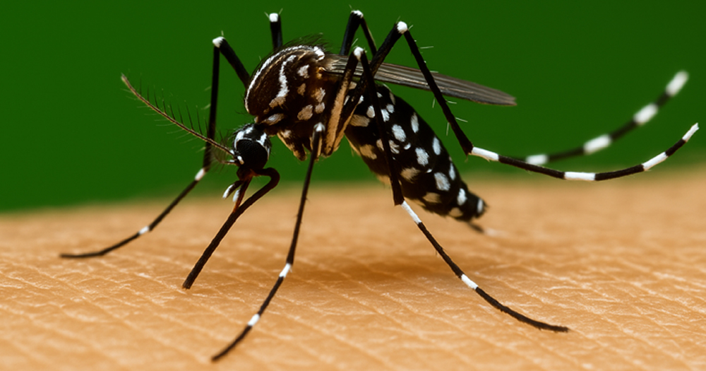 একদিনে ডেঙ্গুতে নতুন আক্রান্ত ৮৩ জন