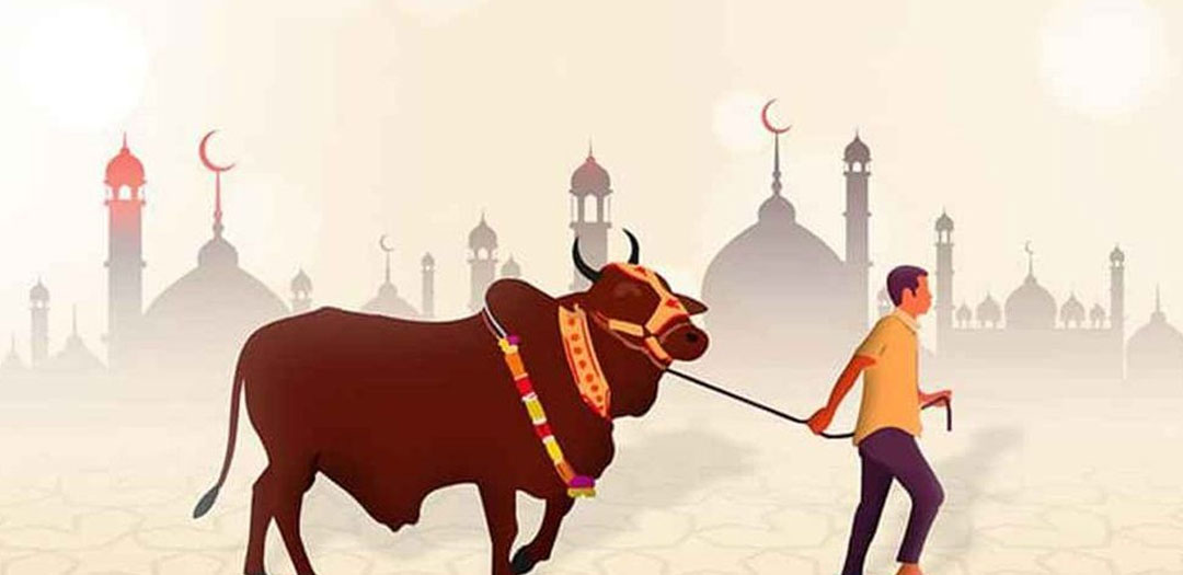 গরু কোরবানি কীভাবে বাংলায় মুসলিম সংস্কৃতির অংশ হয়ে উঠলো