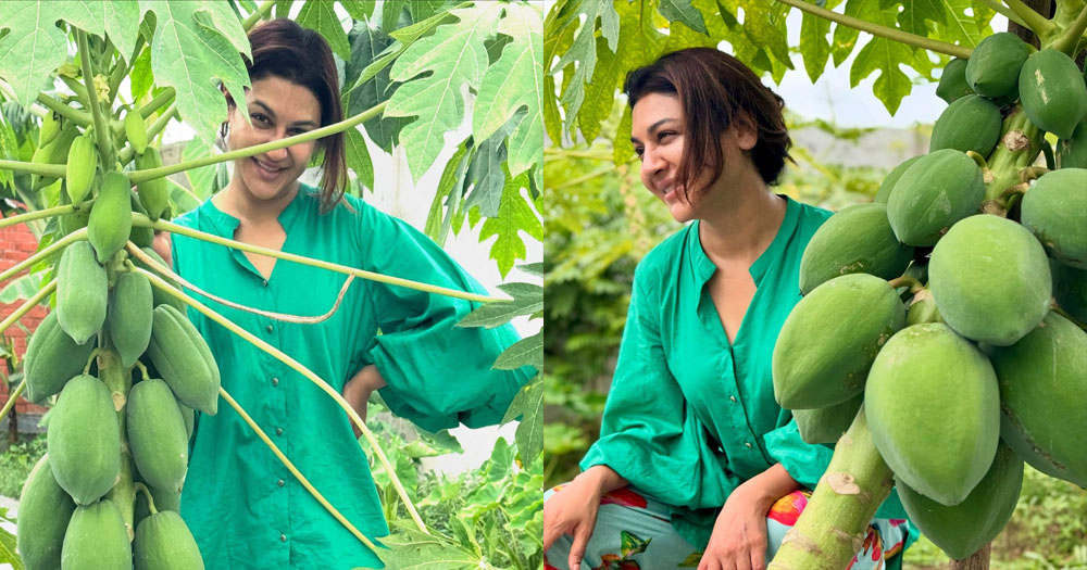 জয়ার বাগানে ফল ধরেছে, শেয়ার করলেন আনন্দের মুহূর্ত