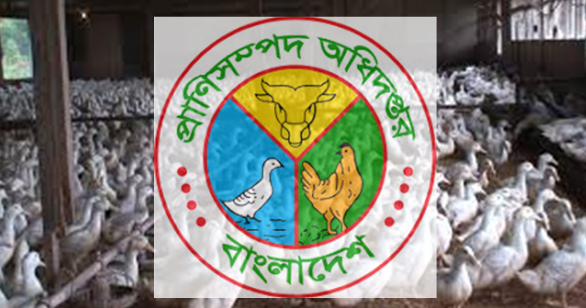 চার মাস বেতন নেই সরকারি হাঁস খামারের ৭০ কর্মচারীর