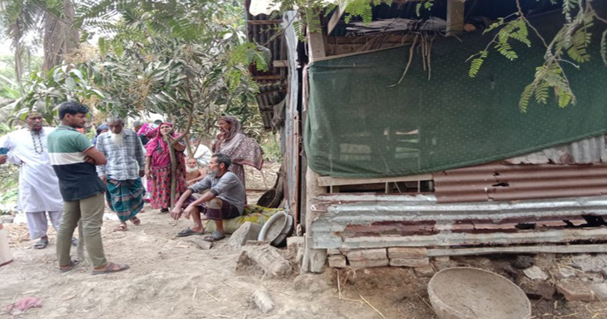 বাউফলে গভীর রাতে গোয়ালঘর থেকে ৪টি গরু চুরি