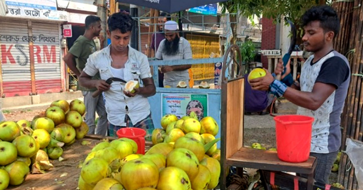 মধুমাসে নাটোরে তালের শাঁস বিক্রির ধুম