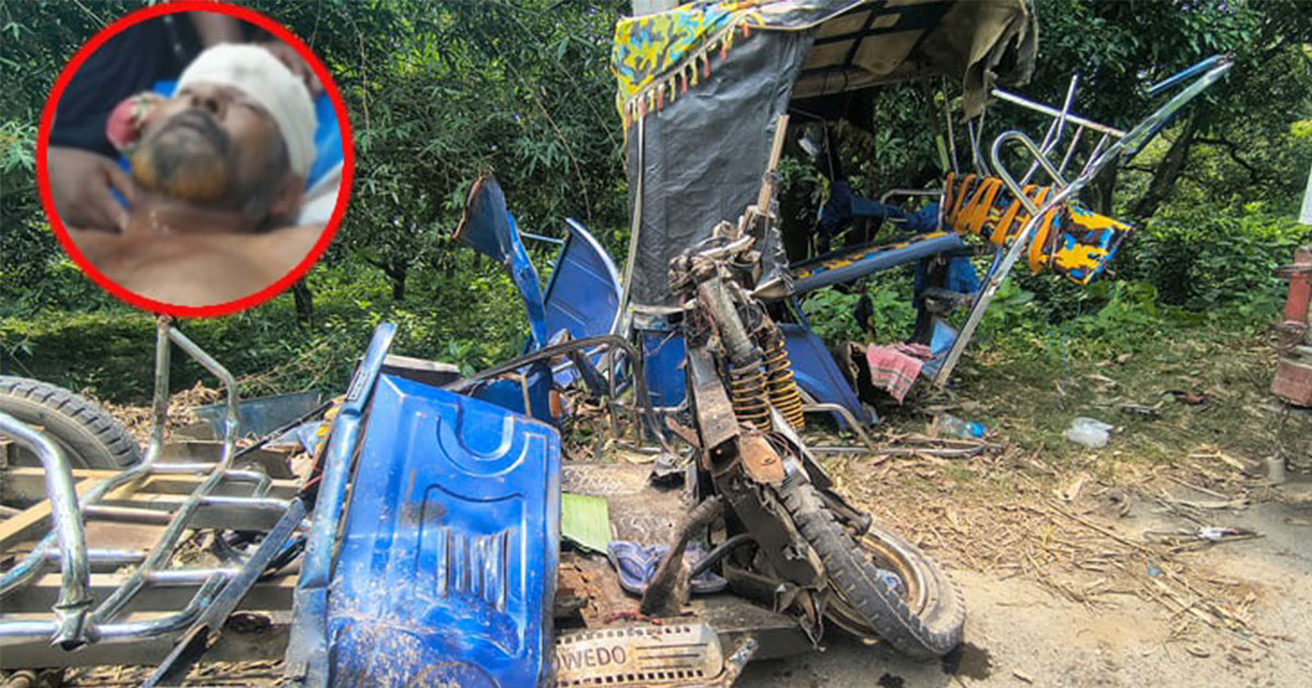 মেহেরপুরে ট্রাকের ধাক্কায় ইজিবাইক চালকের মৃত্যু