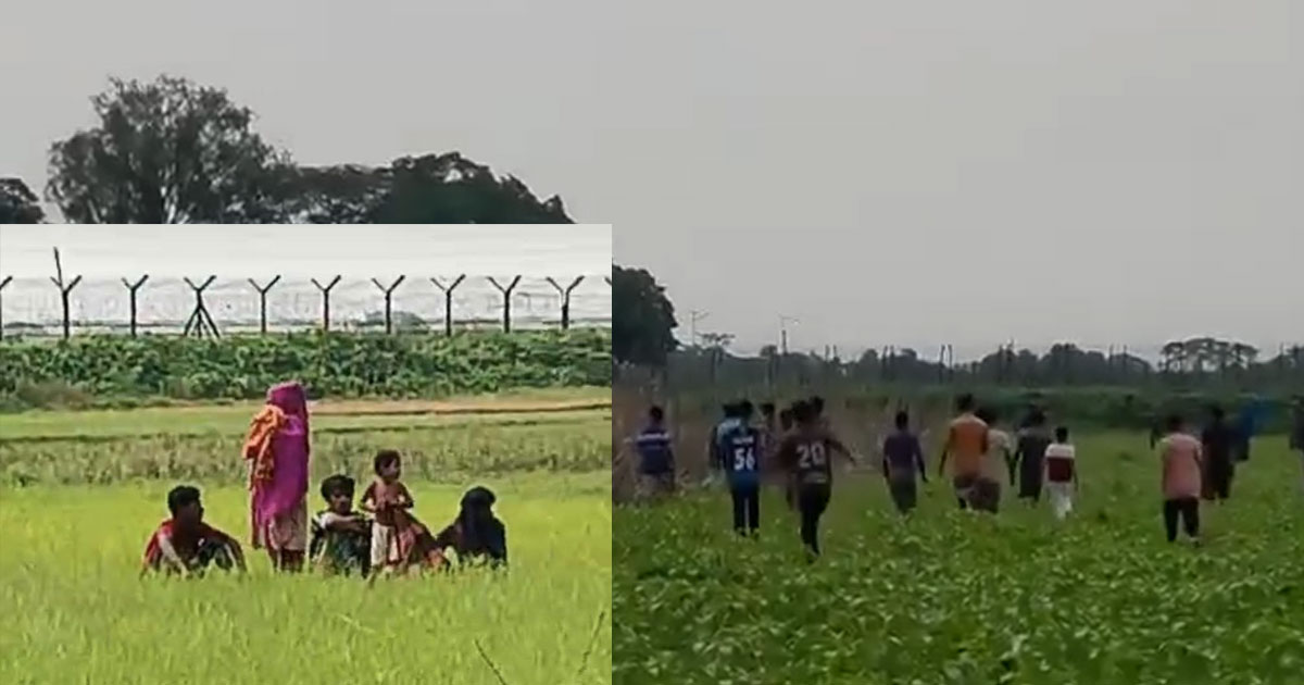 রৌমারীর গয়টাপাড়া ও বন্ধুরচর সীমান্তে ৯ জনকে পুশইনের অভিযোগ