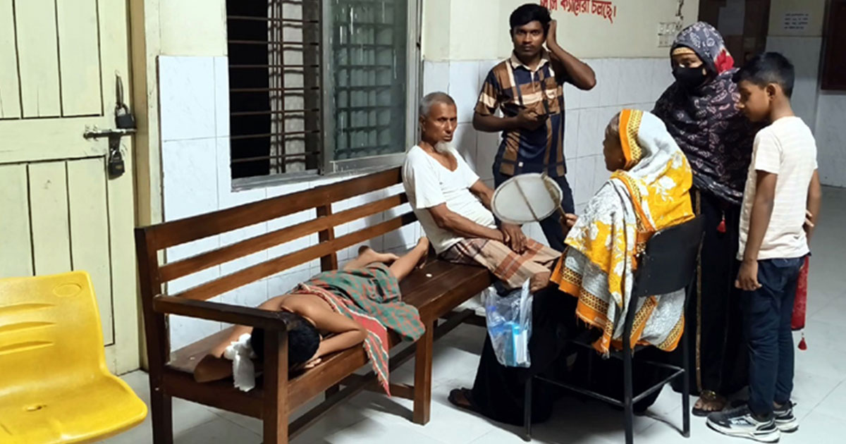 গাংনীতে কুকুরের কামড়ে শিশুসহ আহত ১৭
