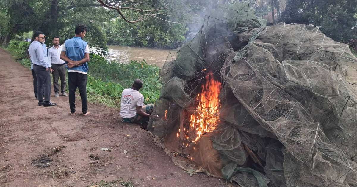 বাউফলে নিষিদ্ধ চায়না দুয়ারি জাল জব্দ, পুড়িয়ে ধ্বংস