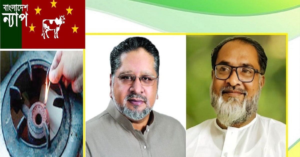 গ্যাস সংকট স্বাভাবিক করতে কার্যকরী ব্যবস্থা গ্রহন করুন: সরকারকে বাংলাদেশ ন্যাপ