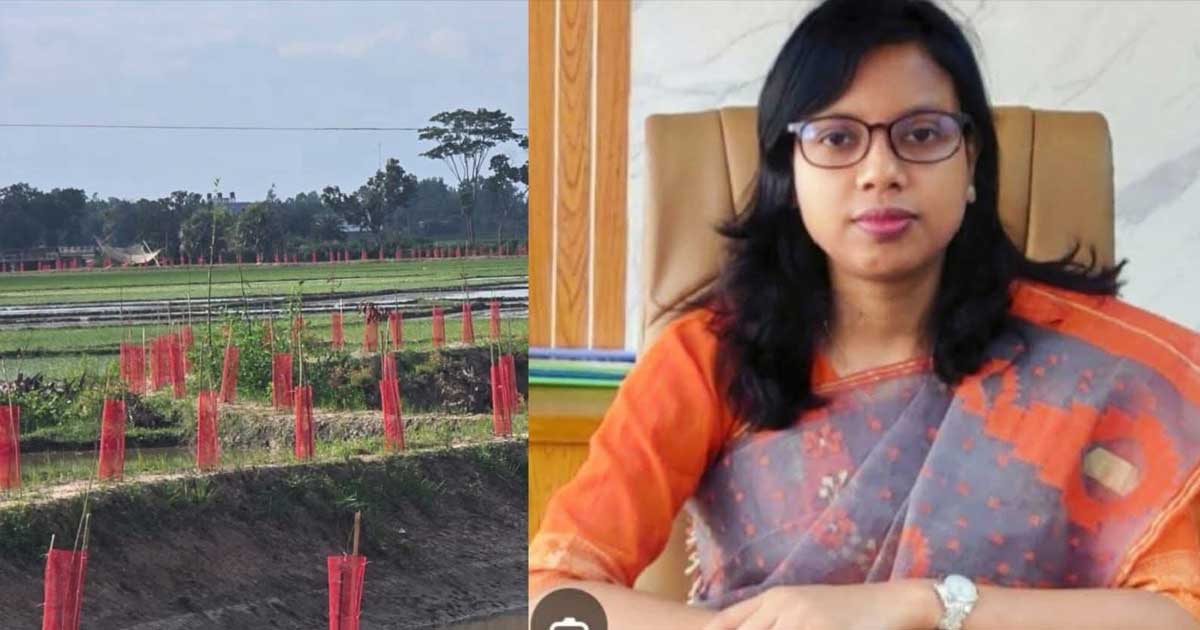 জয়পুরহাটে খাল পুনঃখনন শেষে ১০ লাখ টাকা সরকারি কোষাগারে ফেরত দিলেন ইউএনও