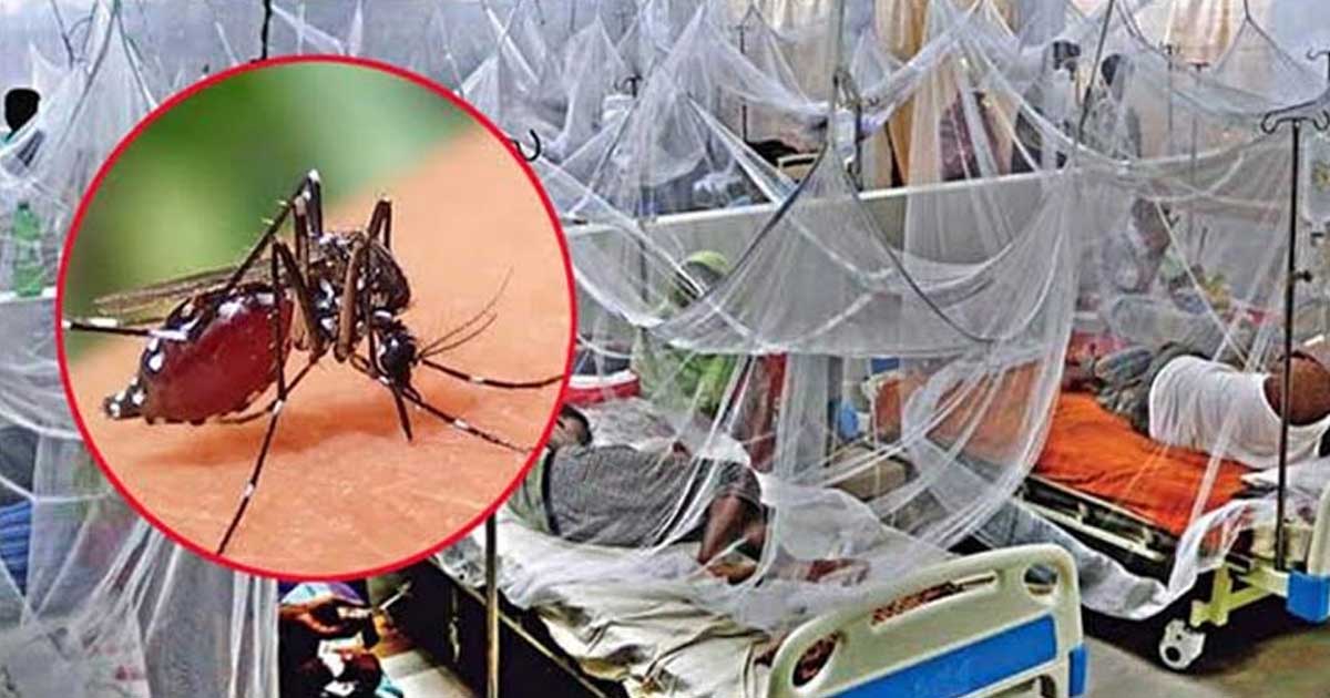 ডেঙ্গুতে তিন জনের মৃত্যু, হাসপাতালে নতুন ভর্তি ৫৮০