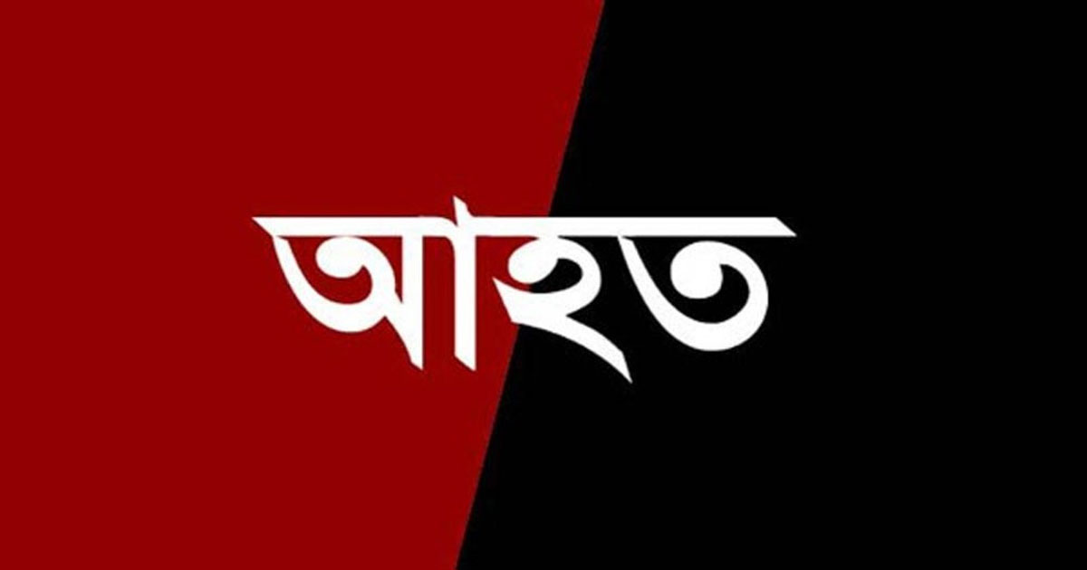 শ্রীপুরে আইনশৃঙ্খলা বিষয়ক সচেতনতামূলক সভায় হামলার অভিযোগ, আহত ১