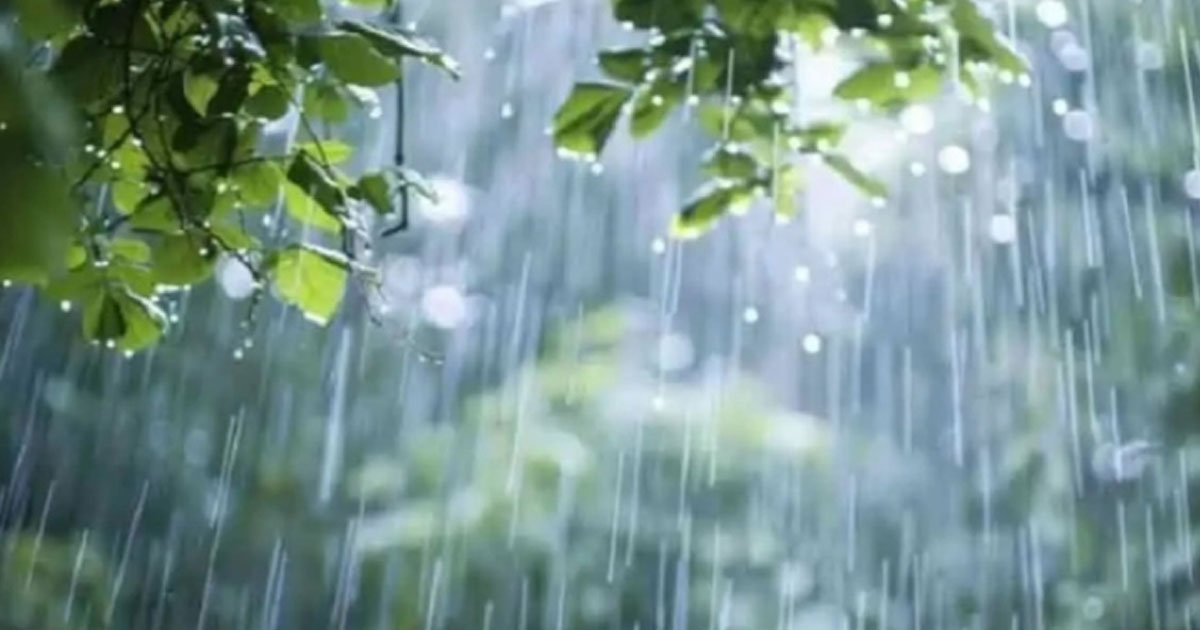 সাগরে লঘুচাপ, সারা দেশে অতিভারী বর্ষণের আভাস