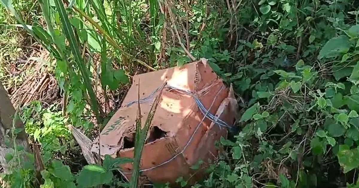 ফরিদপুরে কার্টন থেকে ৬ টুকরো মরদেহ উদ্ধার