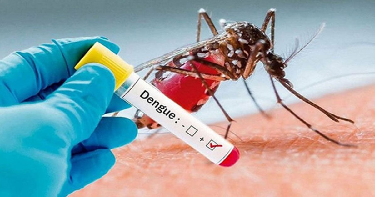 ডেঙ্গুতে আরও ৬ মৃত্যু, হাসপাতালে ১৯৪৮ জন