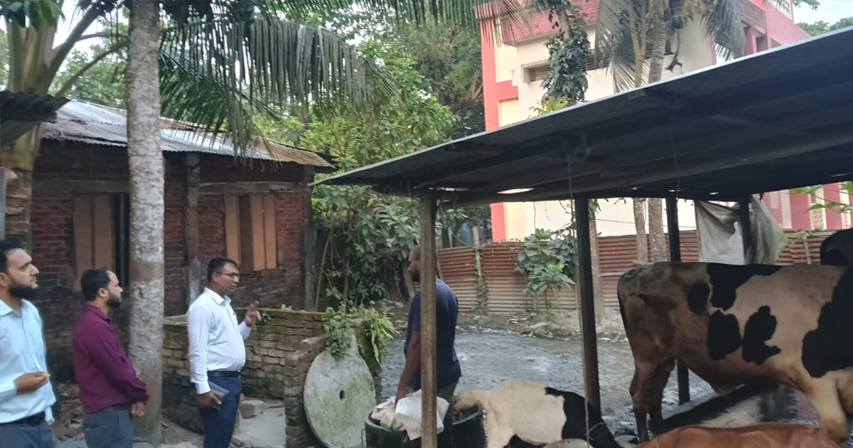 চাঁদপুরে বিদ্যালয় প্রাঙ্গণে গরুর বর্জ্য রাখার দায়ে খামারিকে জরিমানা