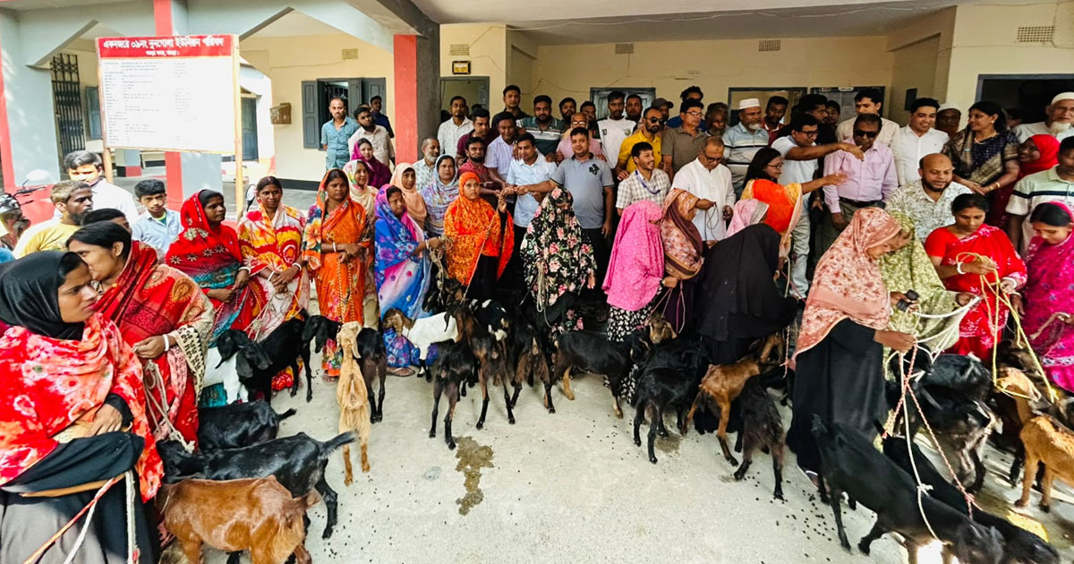 নুনগোলায় অসহায় ও অস্বচ্ছল নারীদের মাঝে ছাগল বিতরণ