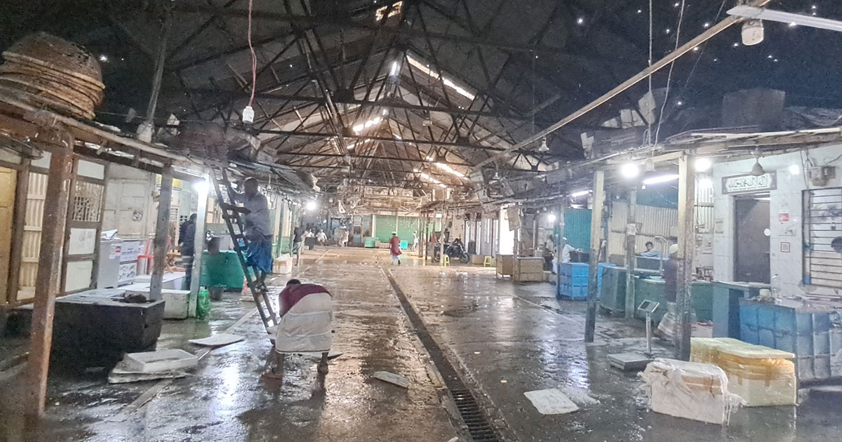 নিষেধাজ্ঞার প্রথম দিনে পদ্মা-মেঘনা ইলিশ অবতরণ কেন্দ্র দুটোই ফাঁকা