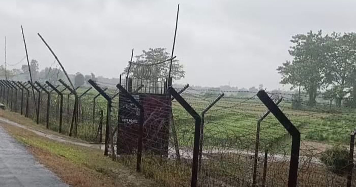 কুষ্টিয়া সীমান্তে বিএসএফের গুলি, আহত কৃষক, আটক ভারতীয় নাগরিক