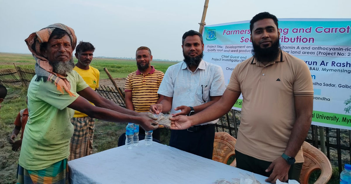 গাজর চাষে সম্ভাবনার দ্বার খুলবে গাইবান্ধার কামারজানির প্রান্তিক কৃষকের