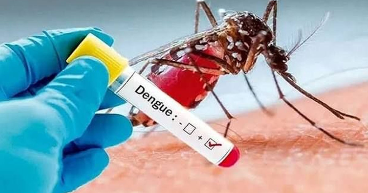 ডেঙ্গুতে মৃত্যু ৩০০ ছাড়াল, আক্রান্ত লাখ ছুঁইছুঁই