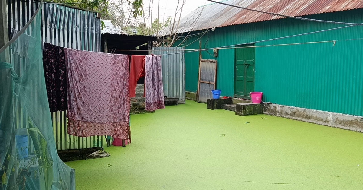 ঘাটাইল পৌর এলাকায় জলাবদ্ধতায় দীর্ঘ দুর্ভোগ,পানিবন্দী শতাধিক পরিবার