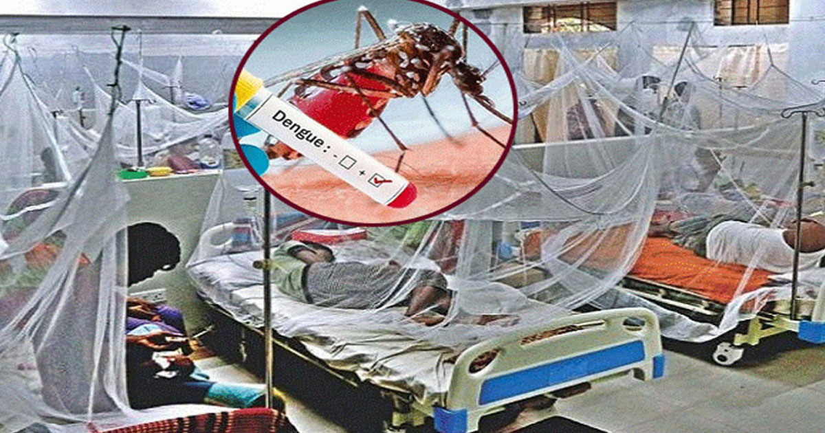 ডেঙ্গুতে আরও ৯ জনের মৃত্যু, হাসপাতালে ভর্তি ১ হাজার ৯৫৪